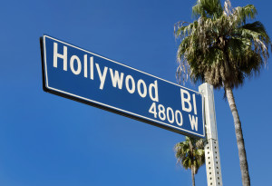 Hollywood Blvd Street Sign W/Palms